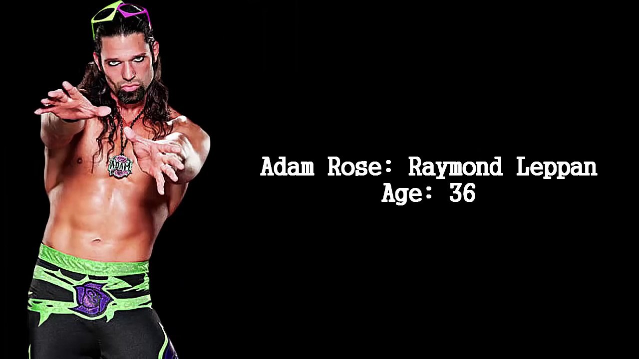 WWE Superstars Real Names and Ages   2016
