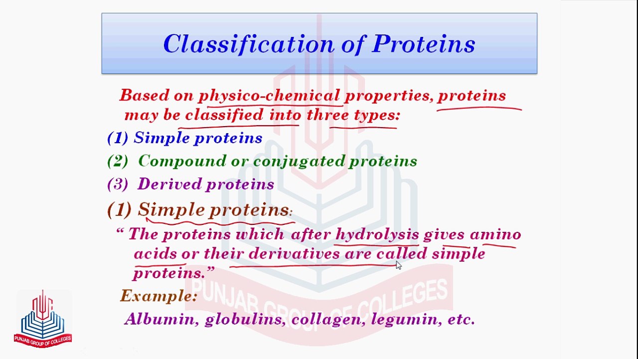 Protein & its Classification