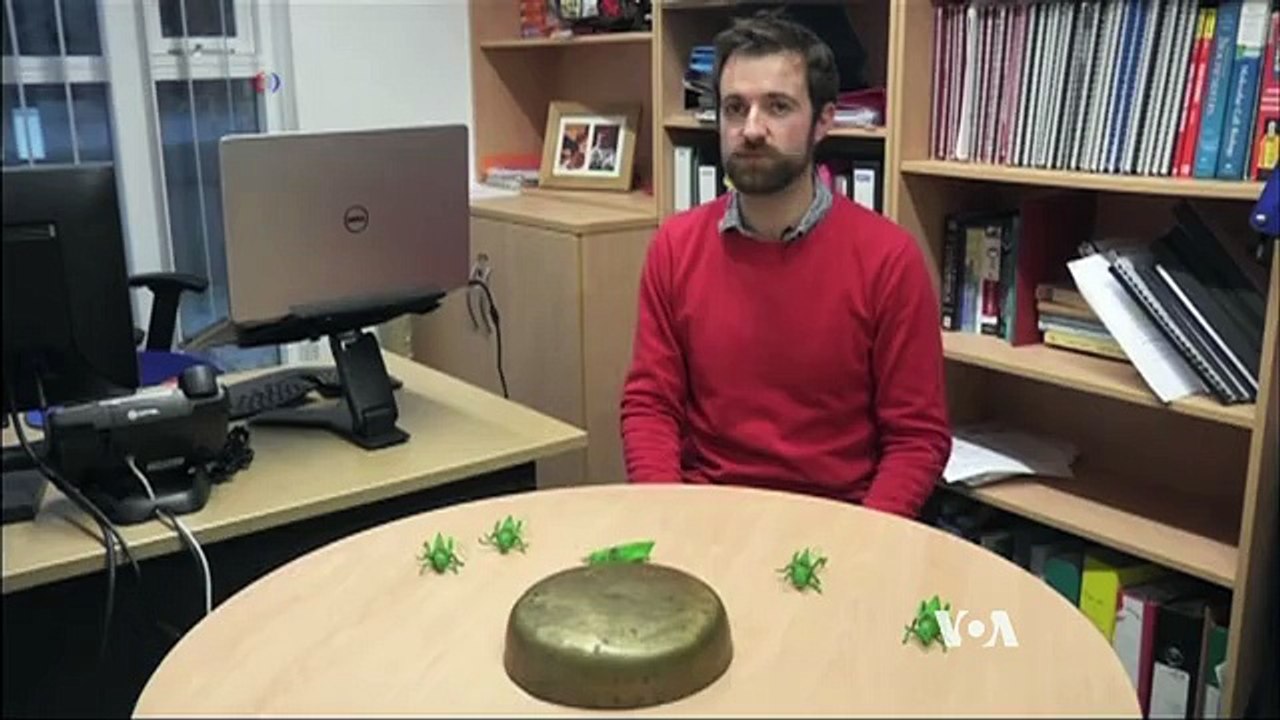 Mathematical Model May Help Control Locusts