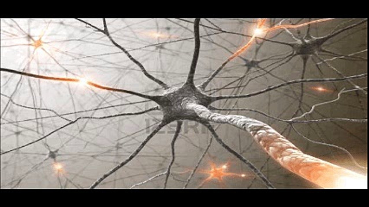 Une startup de Biotech utilise des neurones humains pour construire des ordinateurs puissants