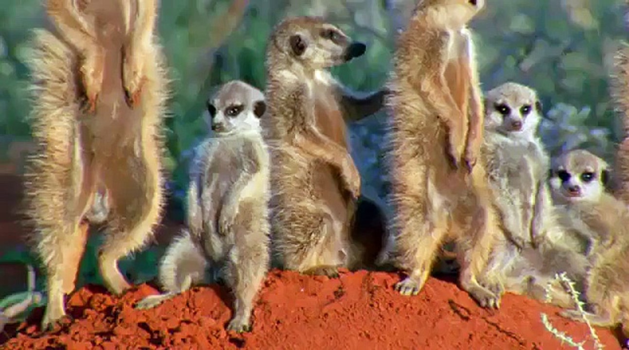 Когда поздно ложишься