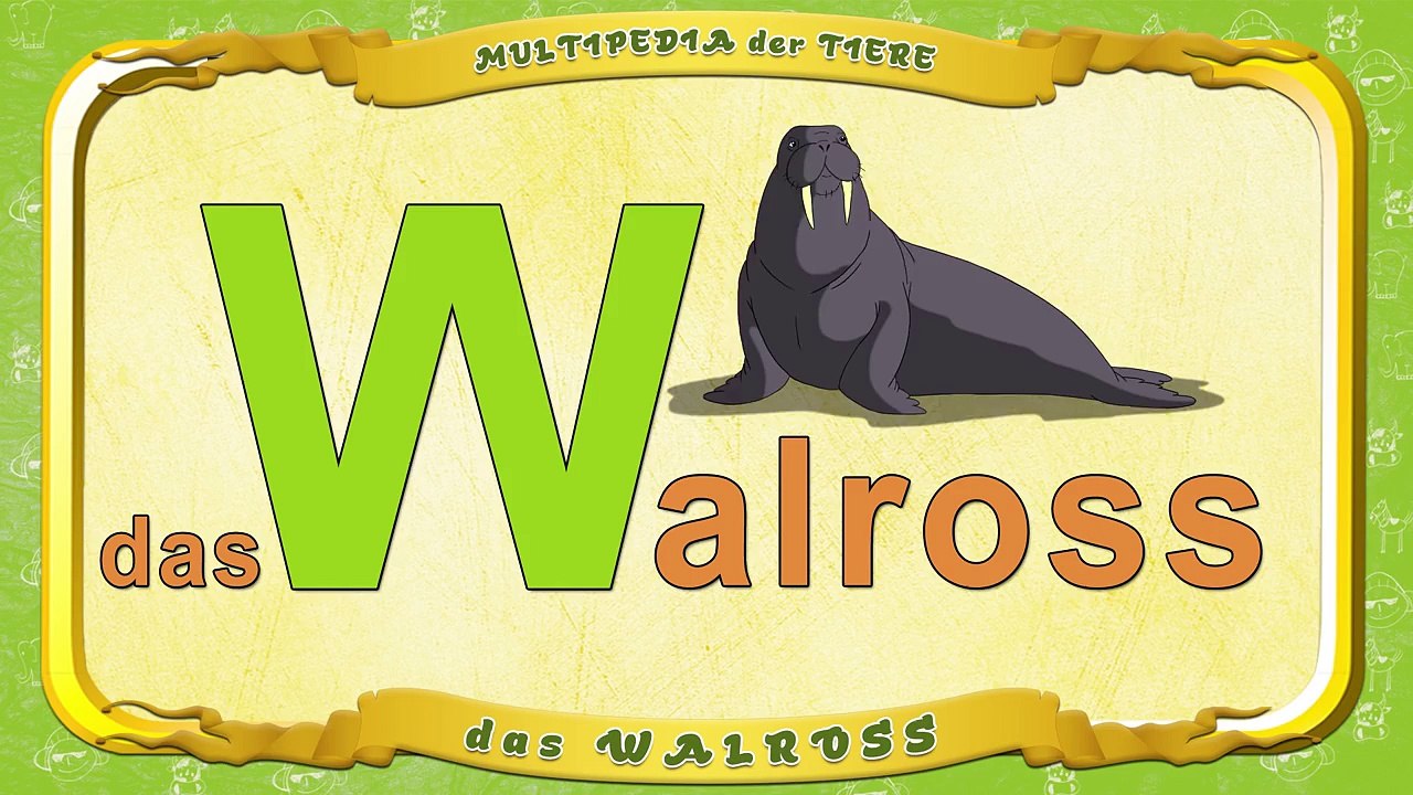 Multipedia der Tiere Buchstabe. W das Walross