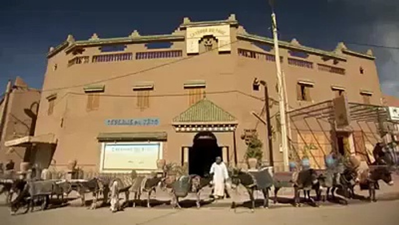 Modern Type Of Donkey