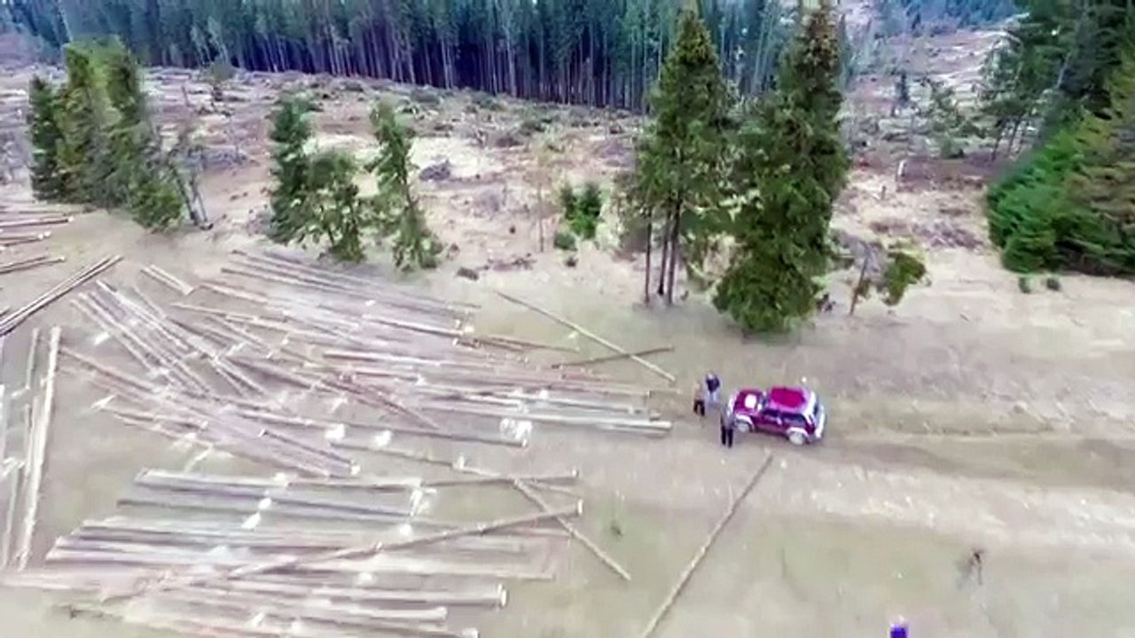 Українські Карпати стрімко втрачають зелені насадження: вражаюча аерозйомка