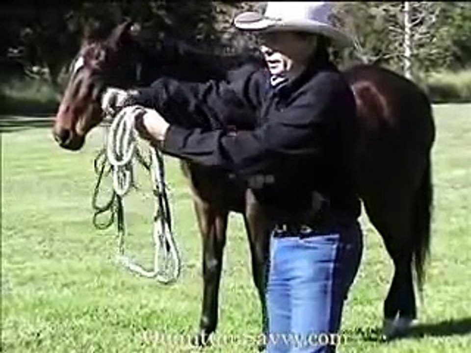 The Approach to Achieving Goals