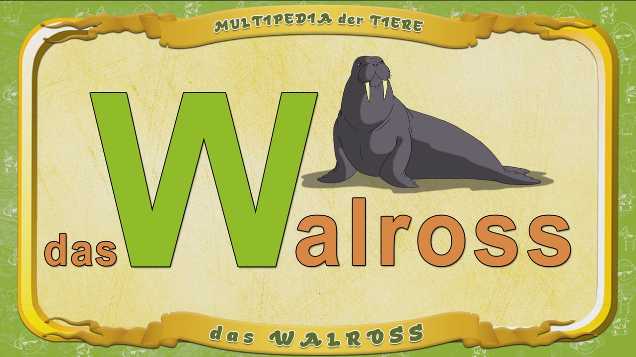 Multipedia der Tiere. Buchstabe W - das Walross