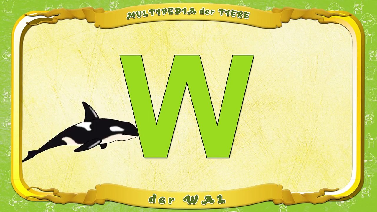 Multipedia der Tiere Buchstabe. W der Wal