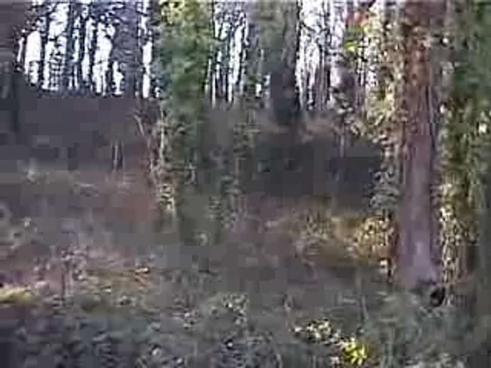 PlouhaLanloup 2001: Amateur VTT Video 🚵‍♂️