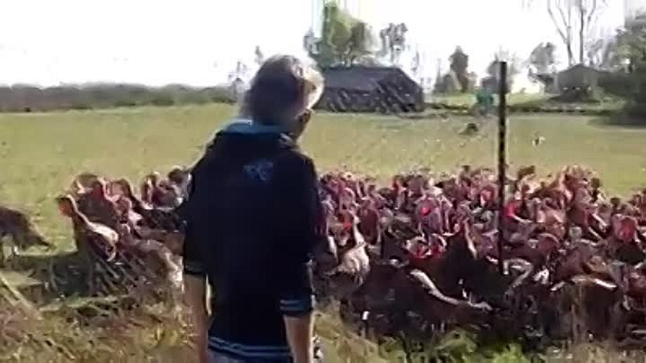 Предоставим массовку на любое предприятие -Ржака до слез