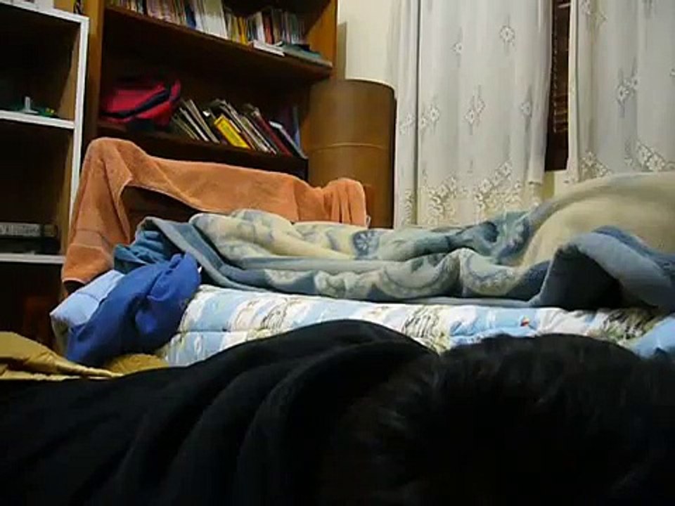 montihno no Tanaka Caimbra no Tanaka