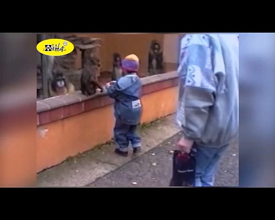 Funny Animal Videos  Funny Animal Attacks Caught   types of movies 2016