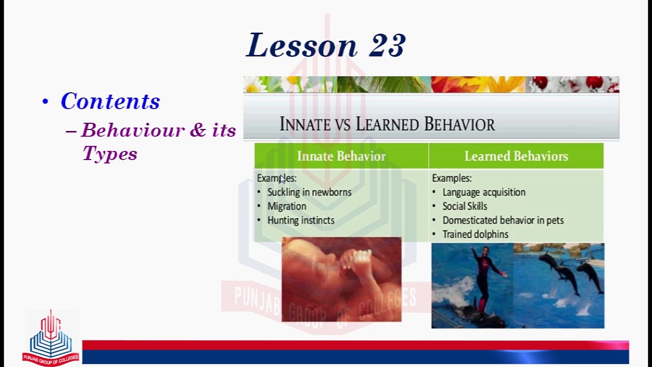 Behaviour & its Types