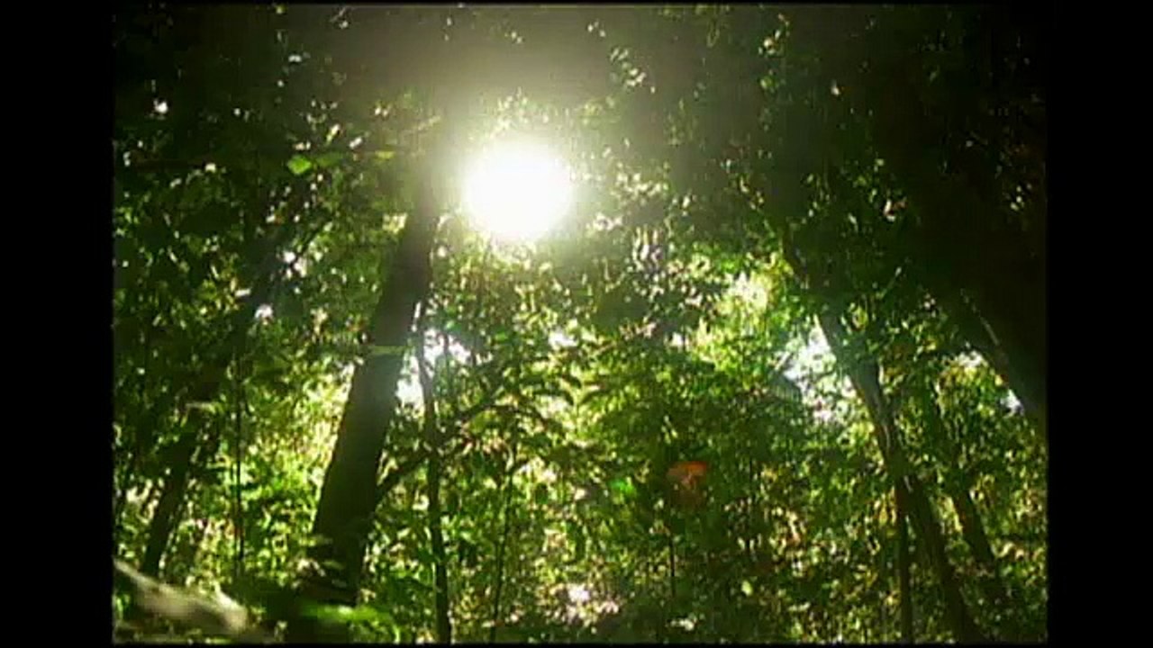 Sun: An Introduction