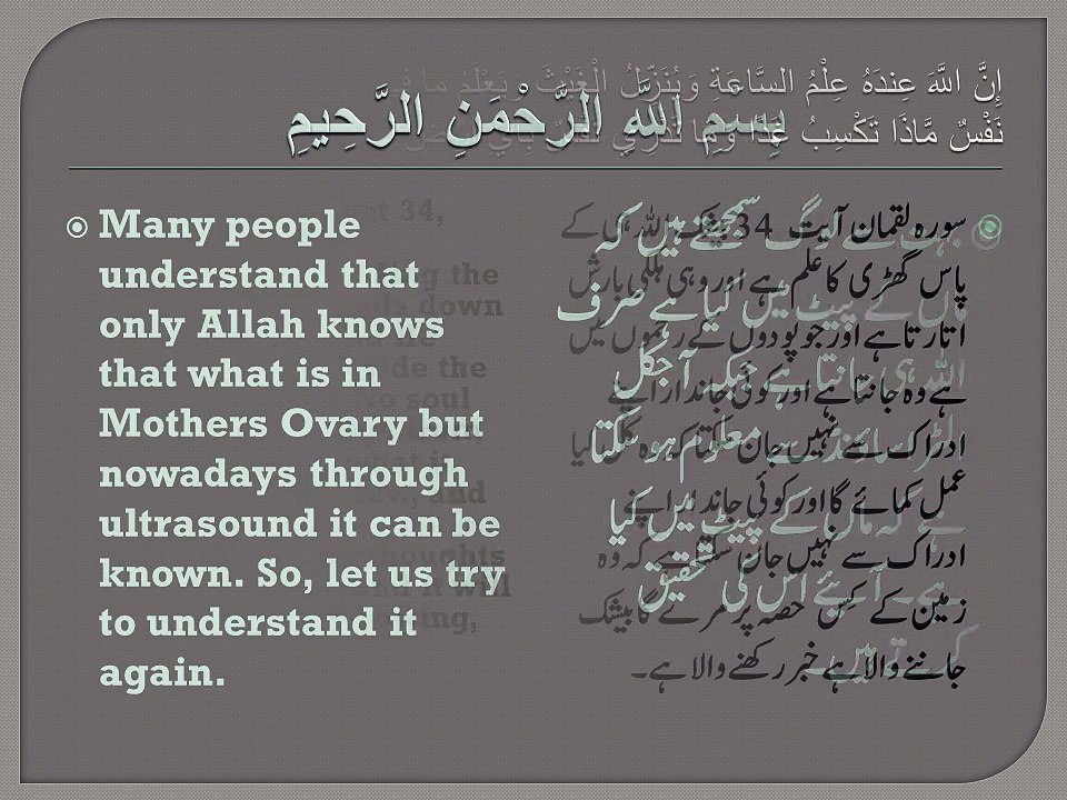 What is in the ovary