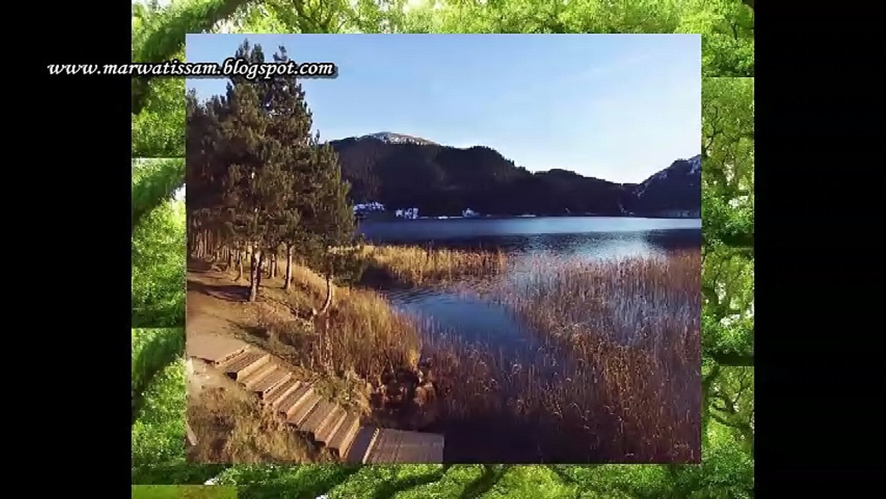 Omar Alsaidie - Dayem Rabbi