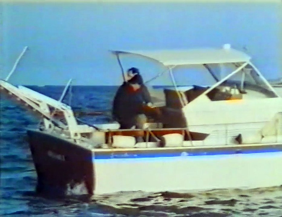 Black Eagle (1988) - VHSRip - Rychlodabing