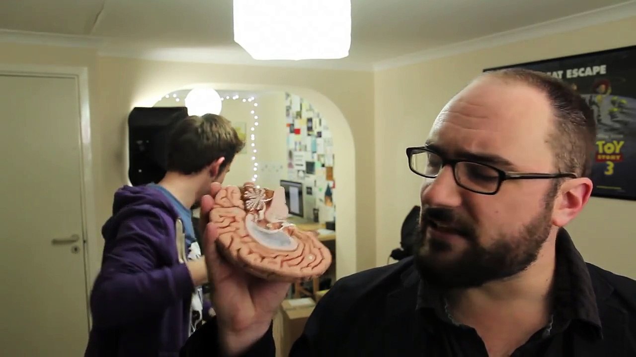 Why Are We Ticklish? Why do We Laugh?