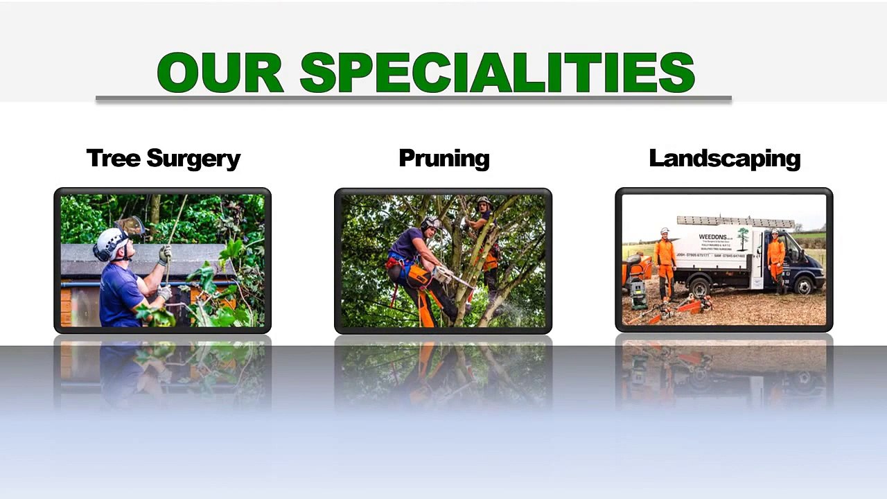 Arborist Nottingham  - Arborist  In Nottingham