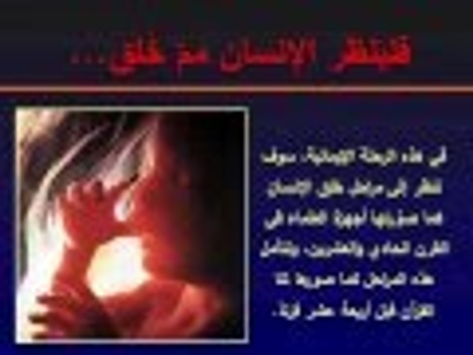 مراحل خلق الانسان