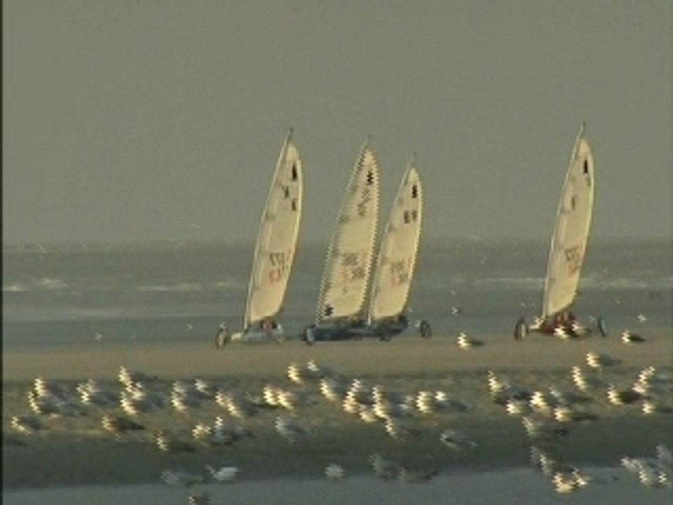 Résumé Quotidien C5-C Standard Voile 🏁