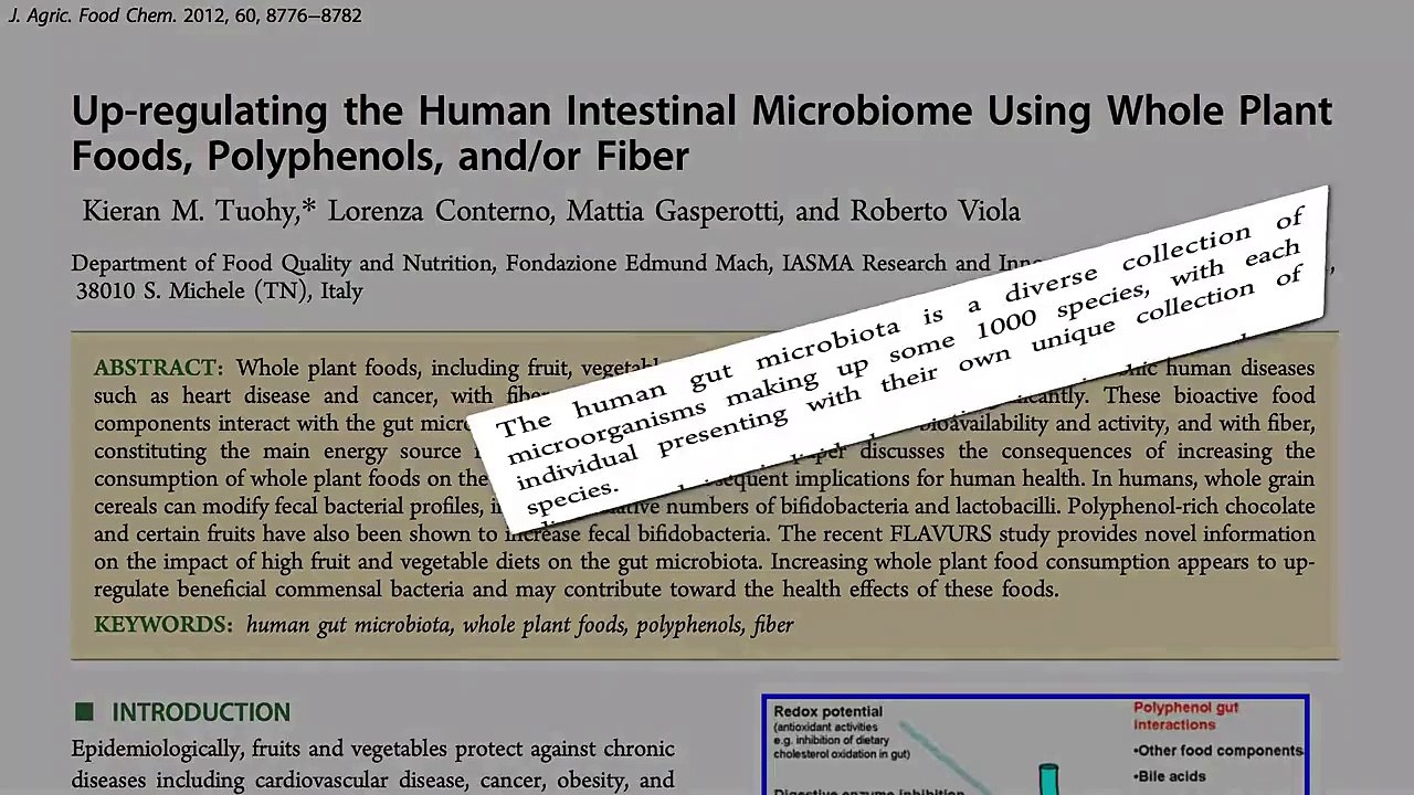 What’s Your Gut Microbiome Enterotype