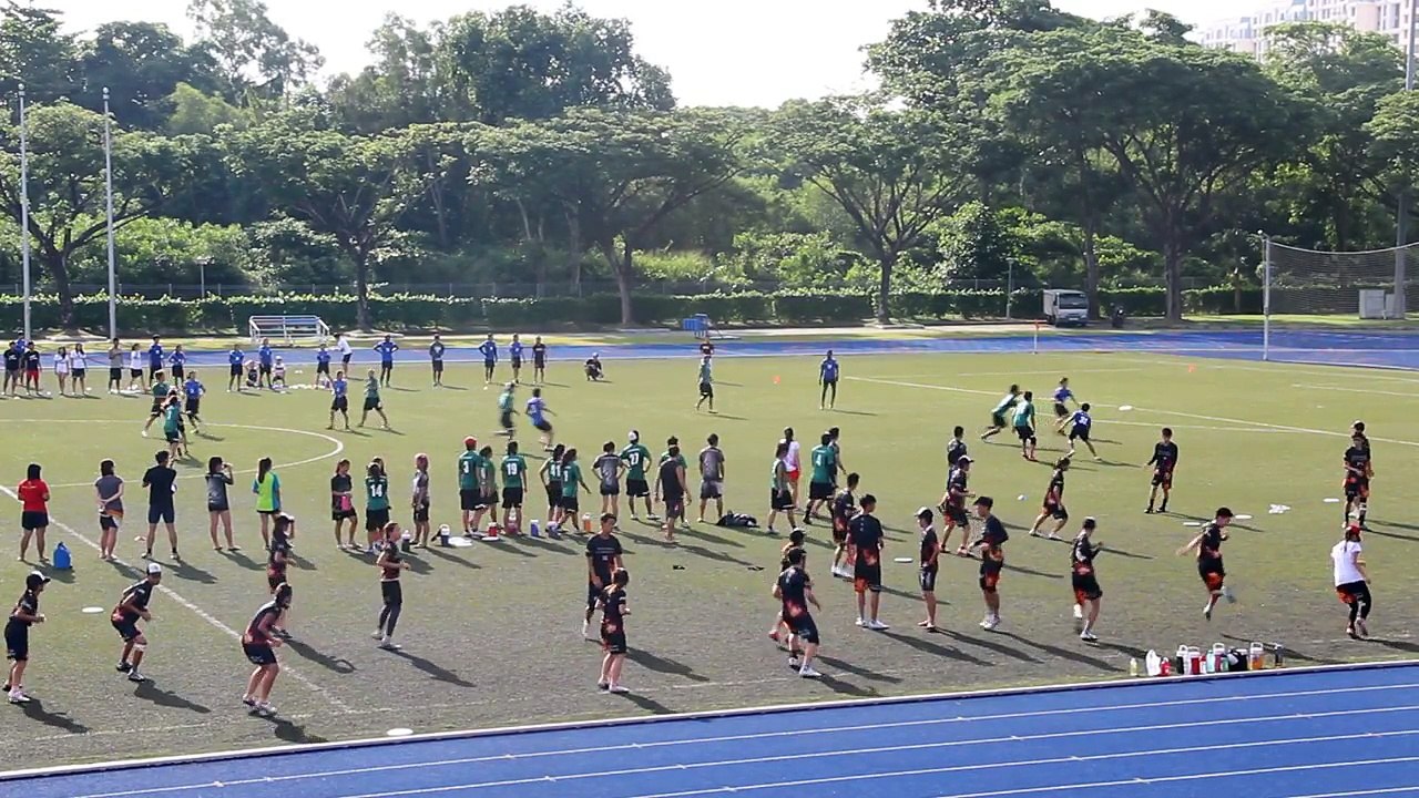 NP vs RP (Part 15) | Key Differences