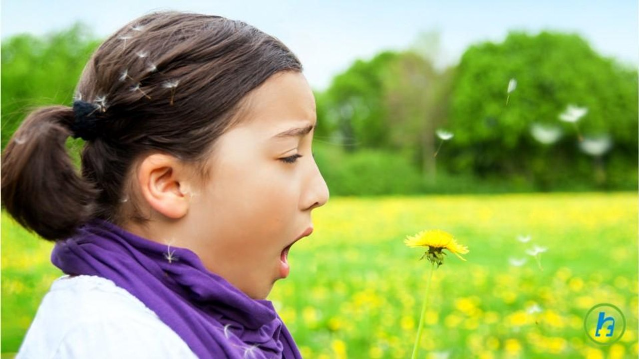Antihistamines Explained: How They Help Relieve Allergies 🤧
