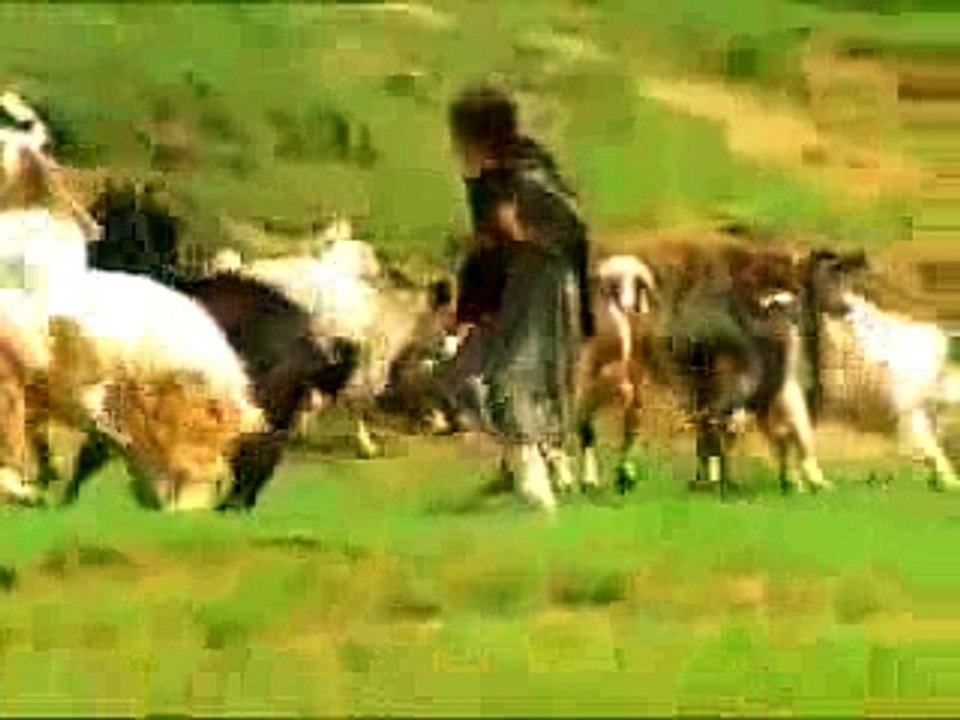 Jiyo Mere Janbaaz - Men in Khaki