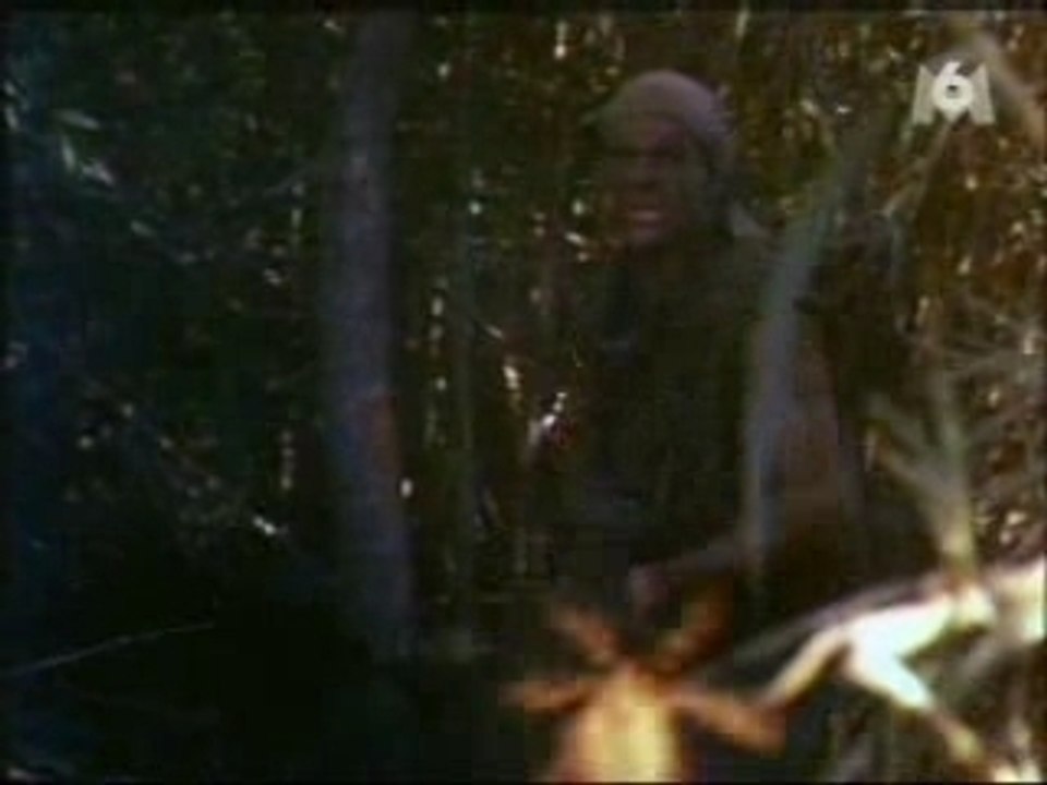 Código Cuántico en 1989 📜