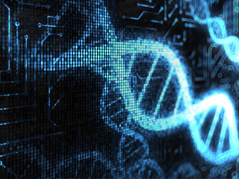 DNA - God's amazing programming; evidence for his existence