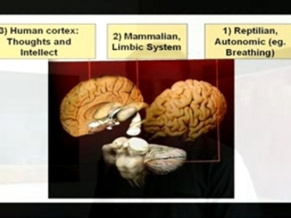 Dancing Brain Teaser