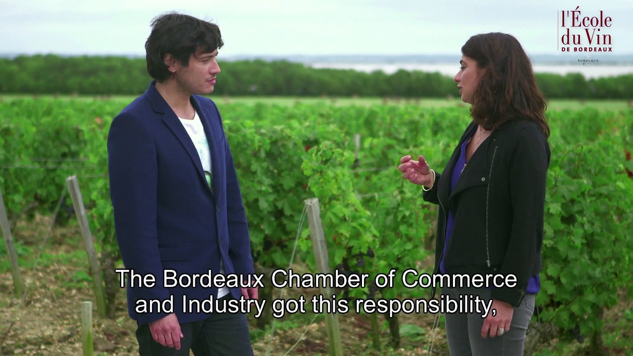 CLASSIFICATION OF 1855