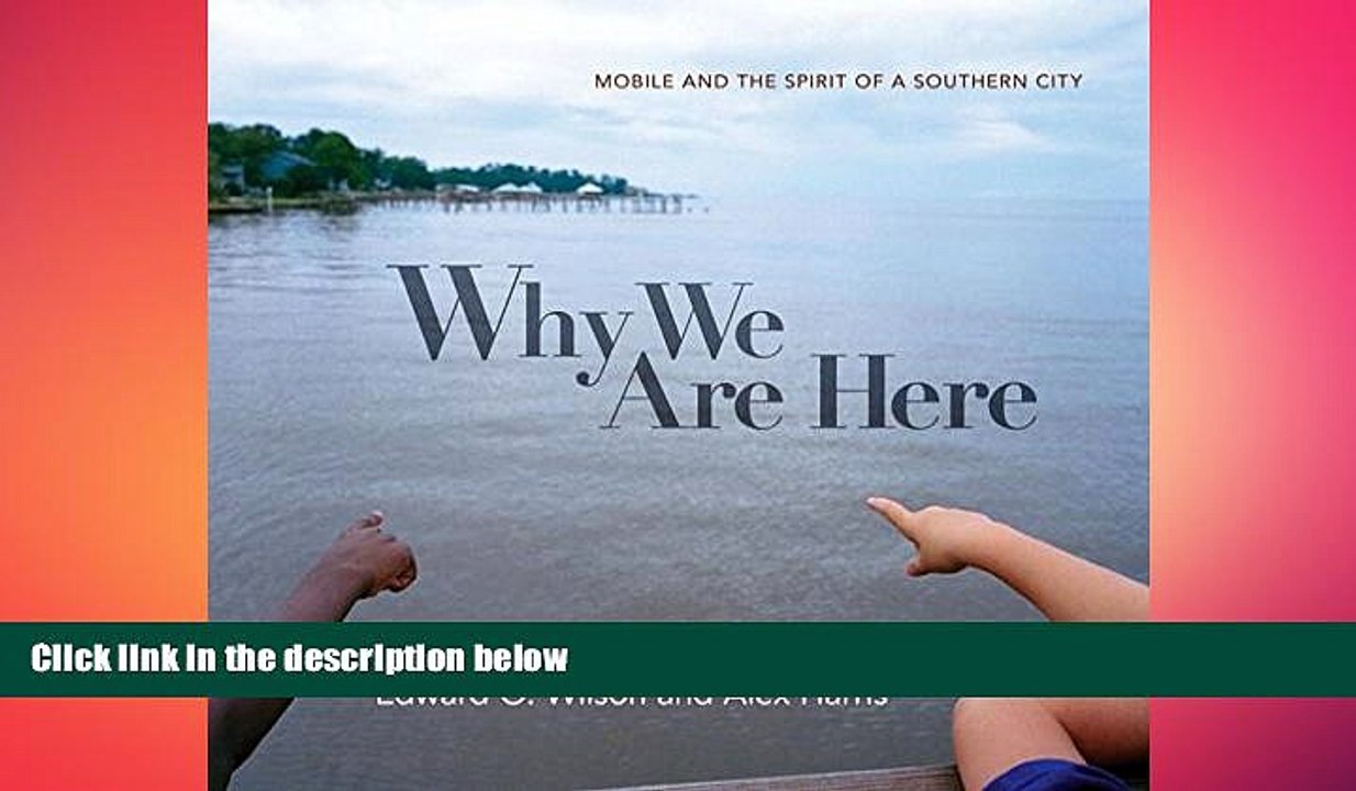 different   Why We Are Here: Mobile and the Spirit of a Southern City