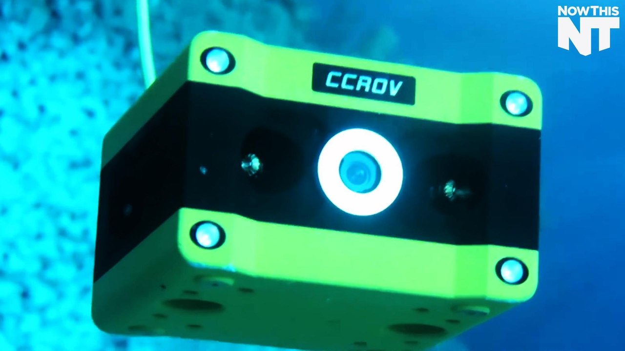 New 4K Underwater Drone Captures Live Footage
