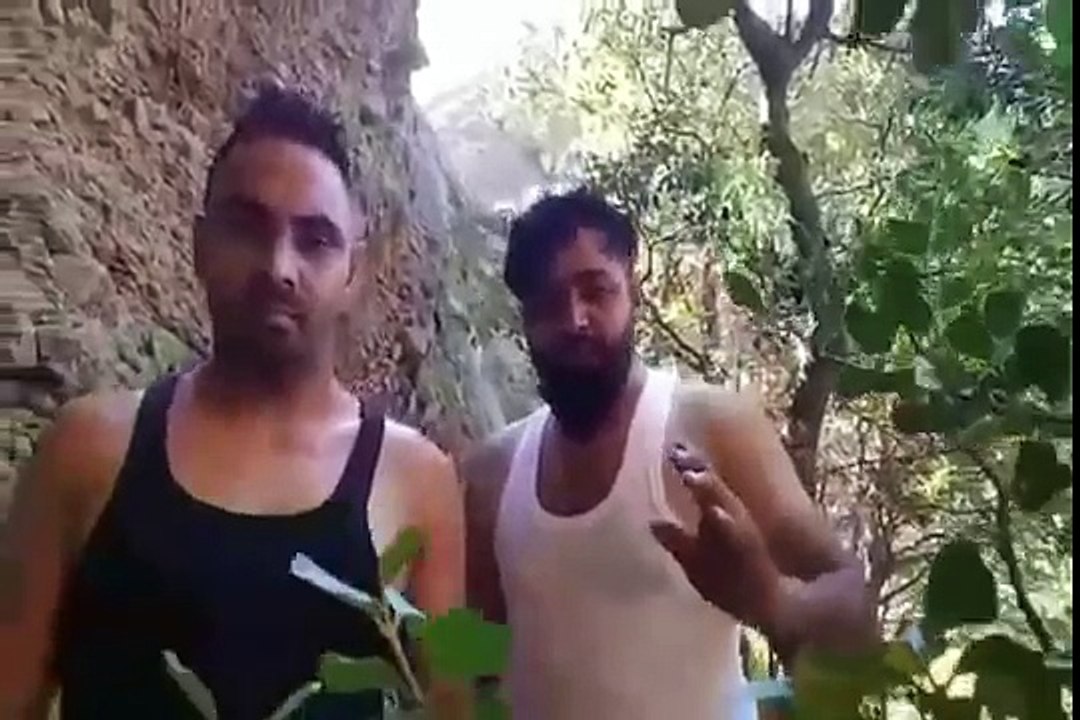 Donkey la k amrica (USA) jaan vale kidan raste vich maar jande ne dekho veer