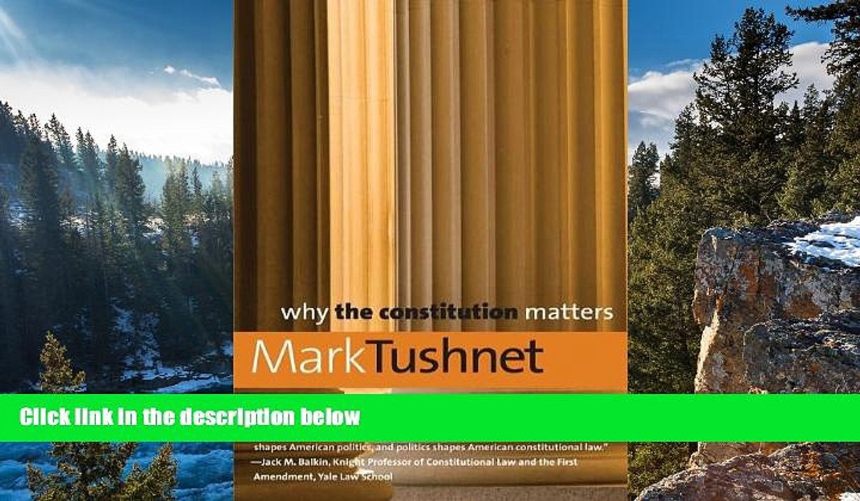 READ NOW  Why the Constitution Matters (Why X Matters Series)  READ PDF Online Ebooks