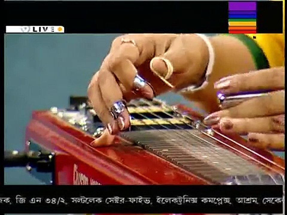 O Amar Mayna Go Hawaiian guitar  feat Instrumental Music.