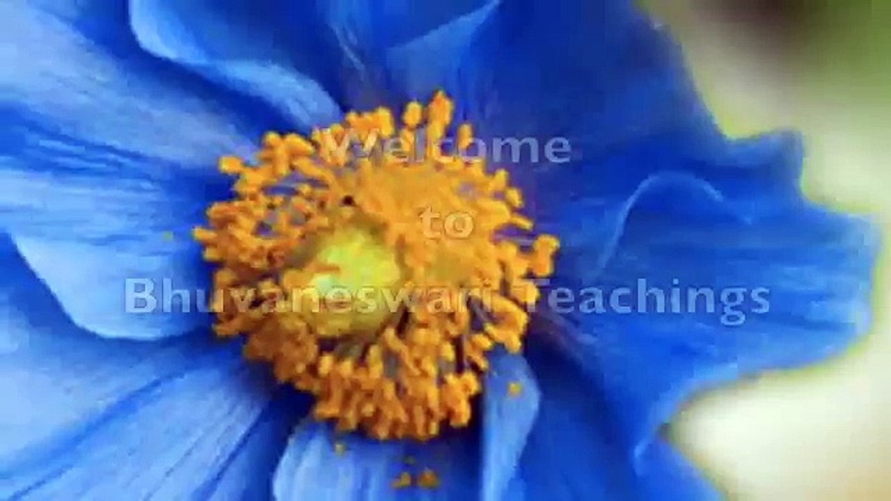 The Importance of Meditation