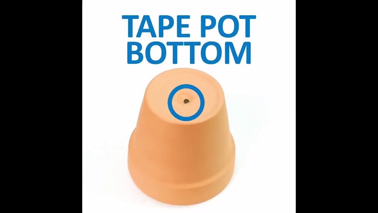 5 life hacks (ultimate hacks)