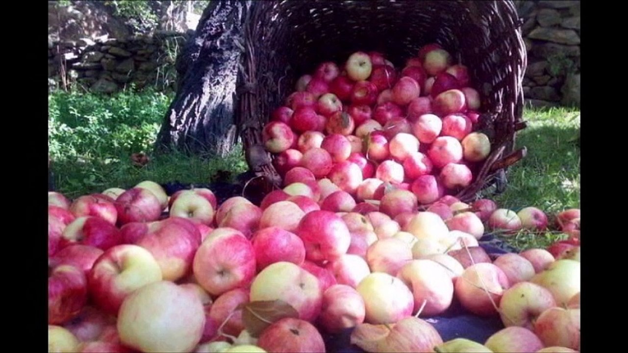 jan jan my gilgit baltistan