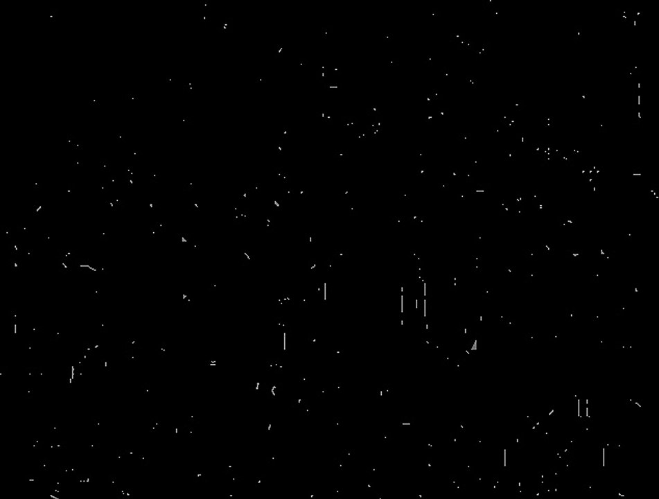 Mister Ed S1E13 - Ed the Tout: Classic Comedy Episode 🎬