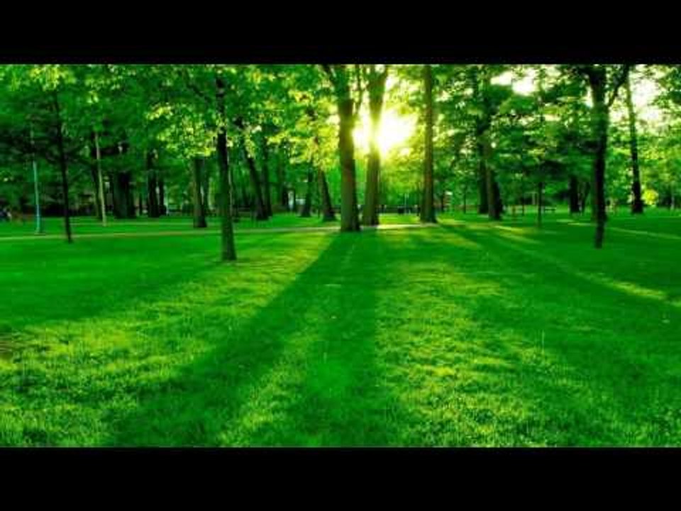 Ma vidéo éditée avec YouTube Editor 🎬