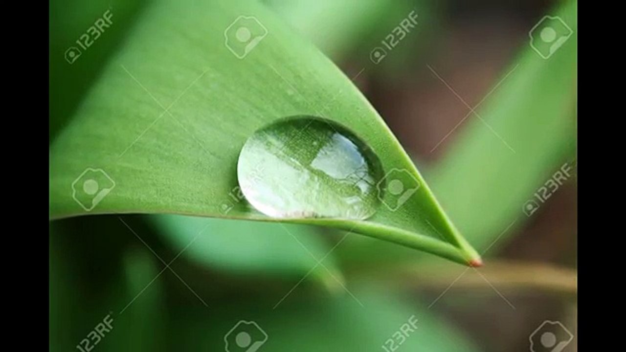 Custom Built Website South Florida