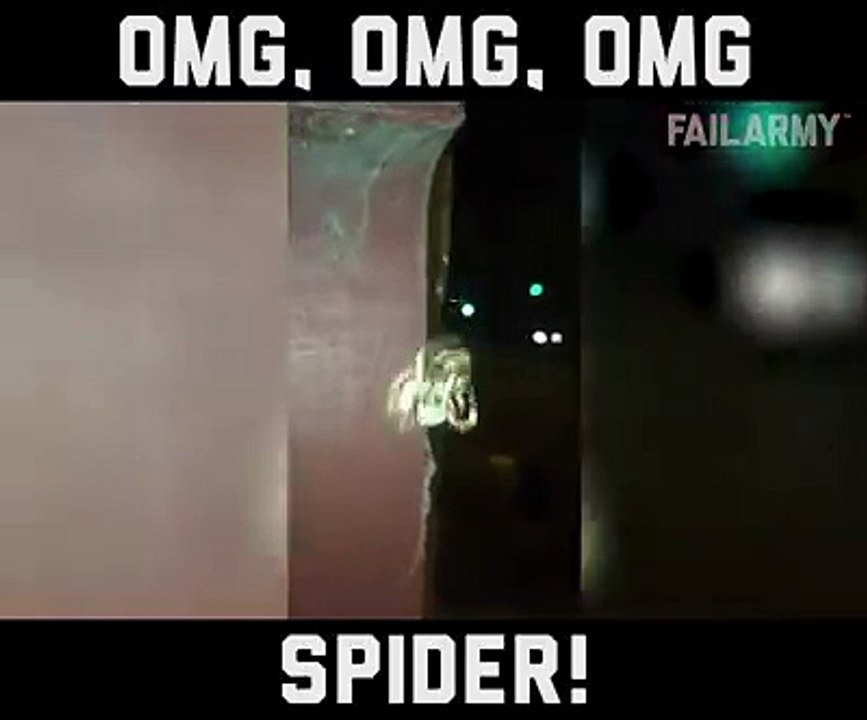 Omg Omg Omg Spider!