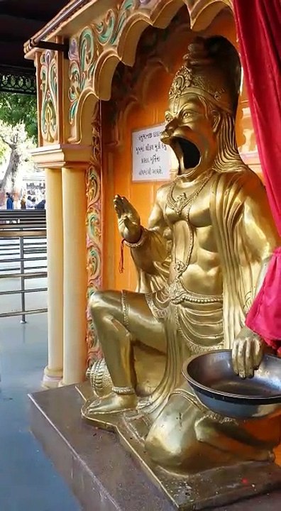 New In Received in Coconut