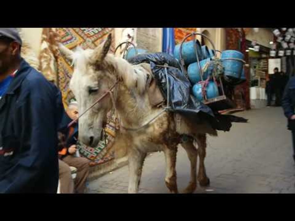 a winter trip to morocco