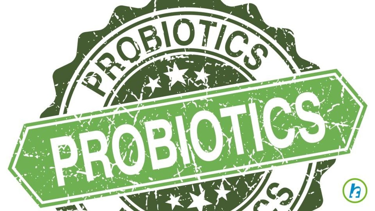 What Are Prebiotics And How Do they Affect Diets?