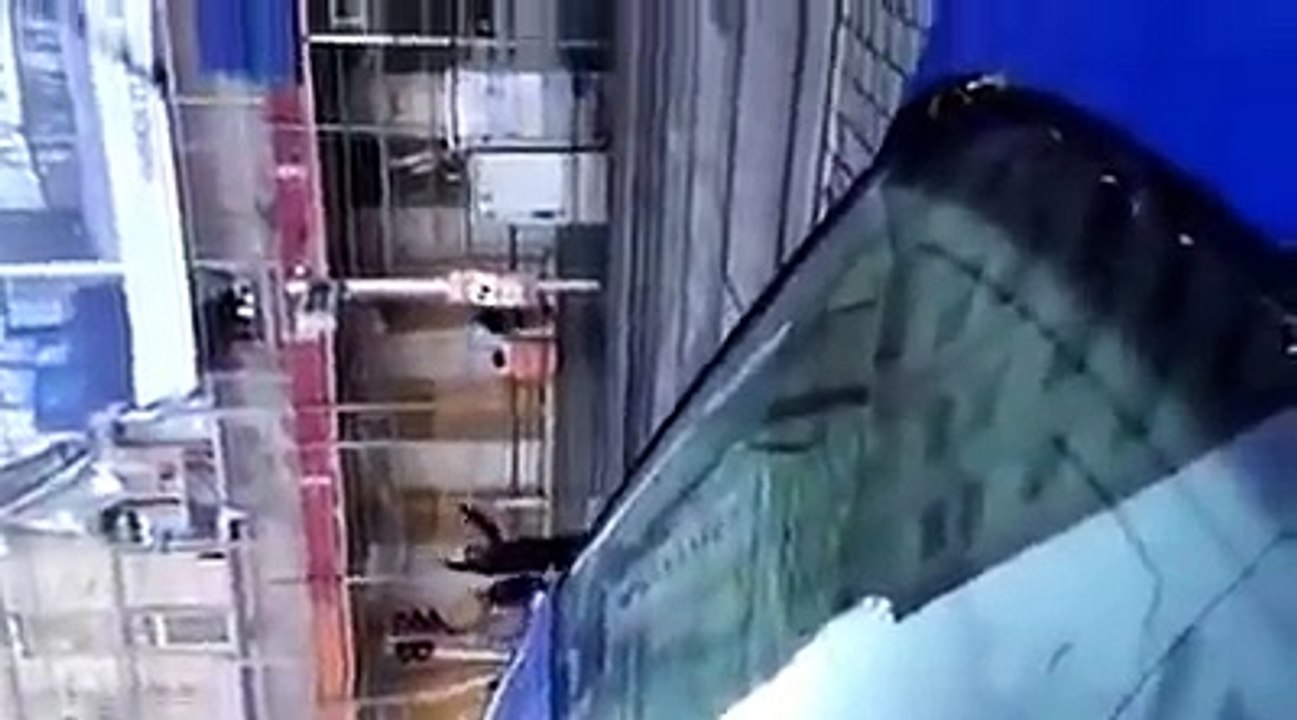 Flüchtling randaliert und zerstört Autos und Strassenbahn