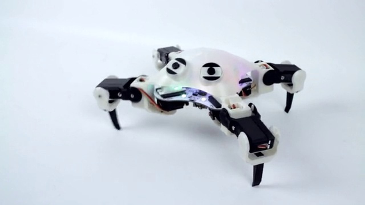 Aprende a programar con la ayuda de este simpático robot