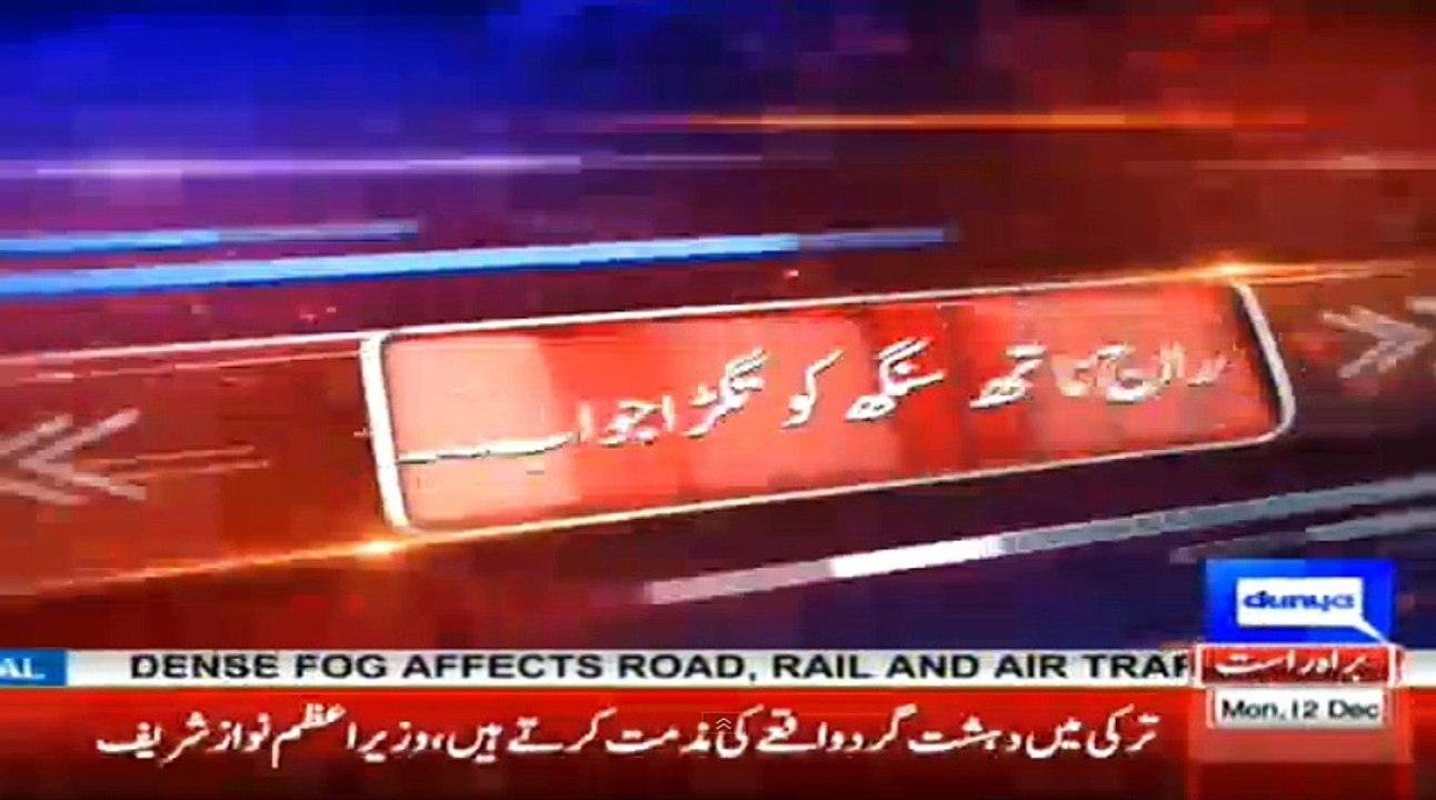 Eid Milad-un-Nabi (SAW) Celebrations in Full Swing 🎉